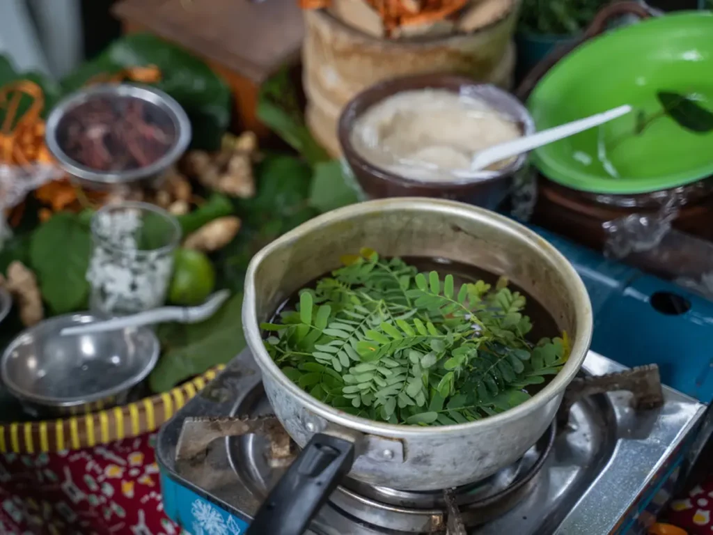 manfaat daun kelor